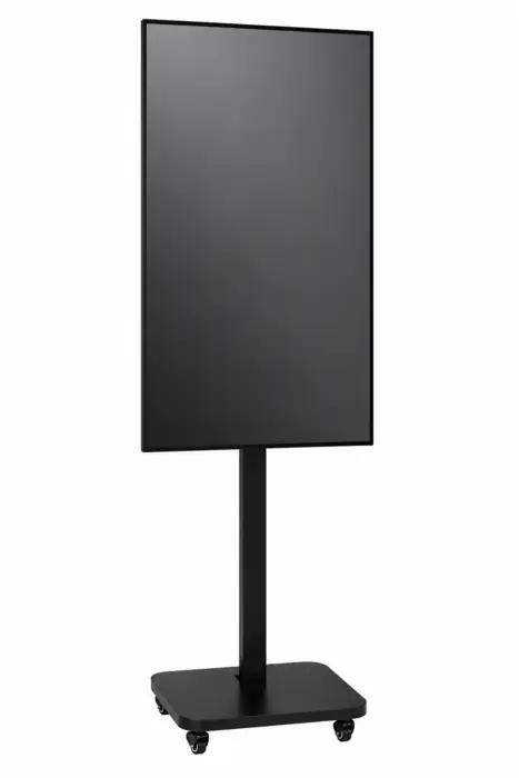 55" Display on Flat Stand – photo 4